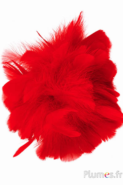 Kalkoen - Ø 18 cm - rood